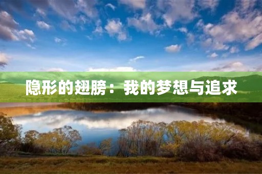 隐形的翅膀：我的梦想与追求