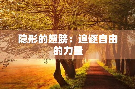 隐形的翅膀:追逐自由的力量 隐形的翅膀:追逐自由的力量