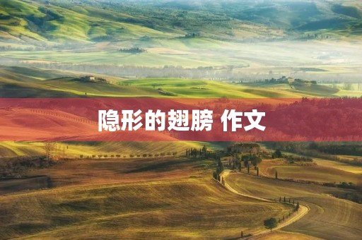 隐形的翅膀 作文