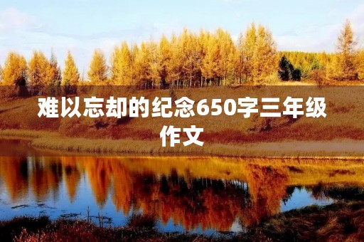 难以忘却的纪念650字三年级作文