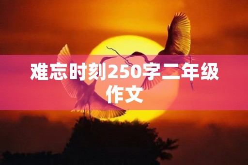 难忘时刻250字二年级作文