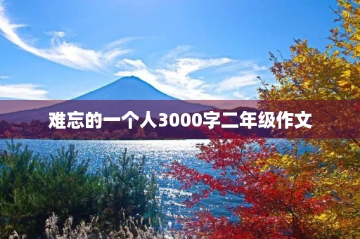难忘的一个人3000字二年级作文