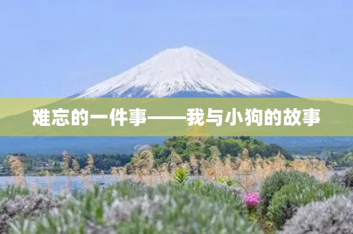 难忘的一件事——我与小狗的故事 难忘的一件事——我与小狗的故事