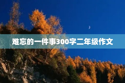 难忘的一件事300字二年级作文