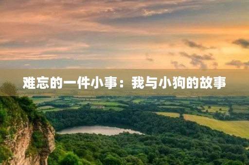 难忘的一件小事：我与小狗的故事