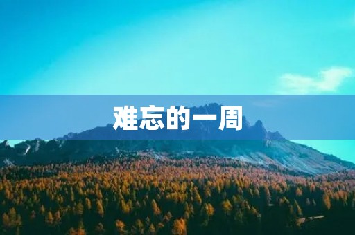 难忘的一周