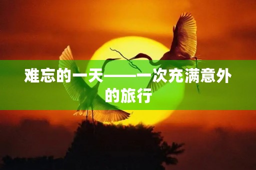 难忘的一天——一次充满意外的旅行 难忘的一天——一次充满意外的旅行