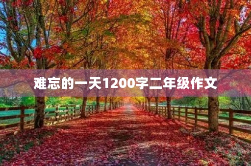难忘的一天1200字二年级作文