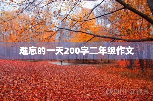 难忘的一天200字二年级作文