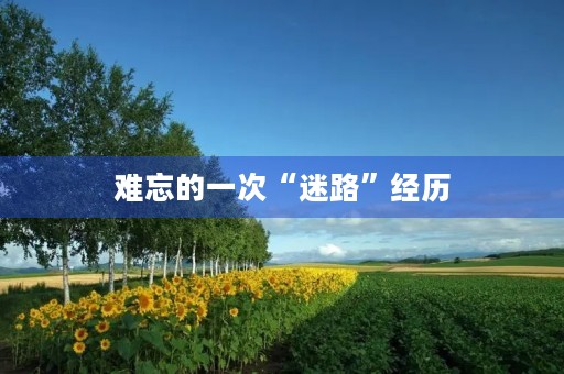 难忘的一次“迷路”经历 难忘的一次“迷路”经历
