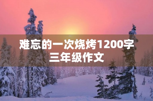难忘的一次烧烤1200字三年级作文