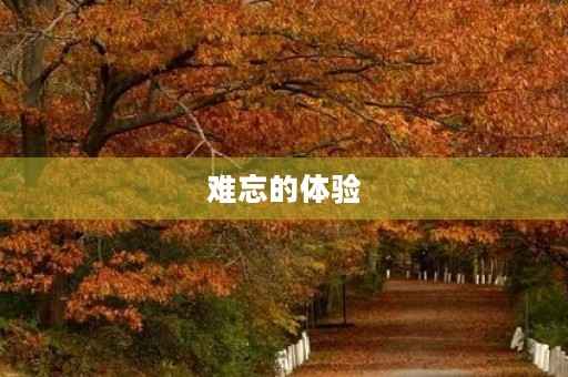 难忘的体验