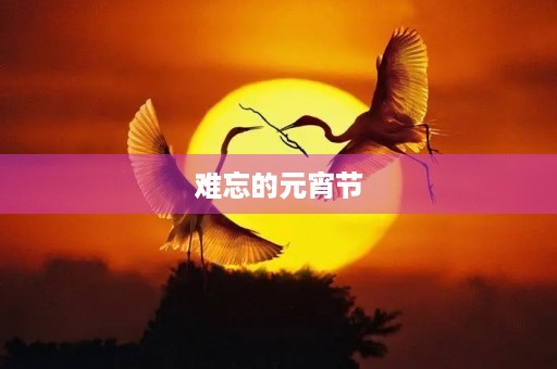 难忘的元宵节 难忘的元宵节