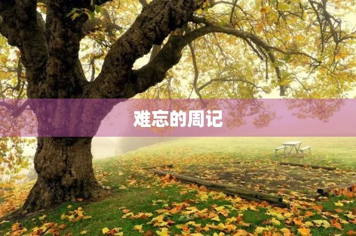 难忘的周记 难忘的周记