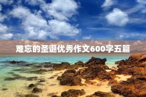 难忘的圣诞优秀作文600字五篇