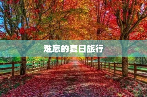 难忘的夏日旅行 难忘的夏日旅行