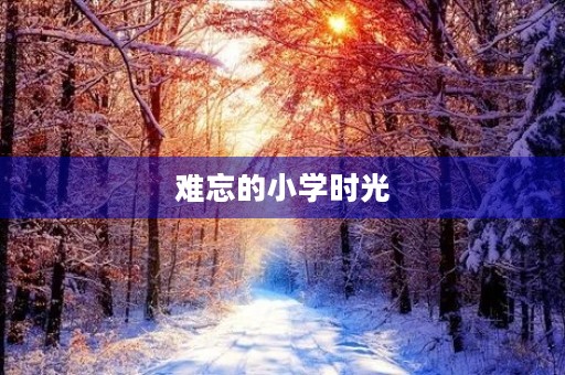 难忘的小学时光 难忘的小学时光