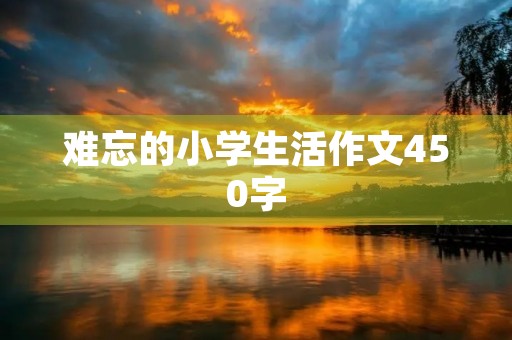 难忘的小学生活作文450字