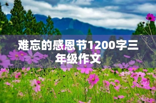 难忘的感恩节1200字三年级作文