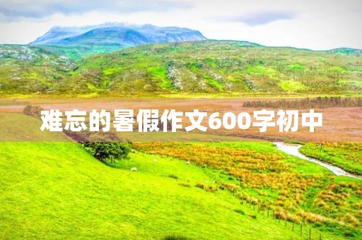 难忘的暑假作文600字初中 难忘的暑假作文600字初中