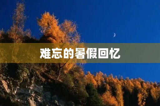 难忘的暑假回忆