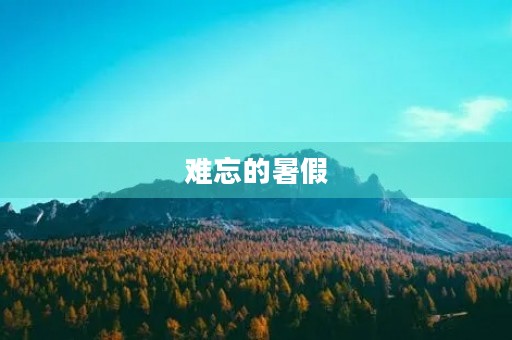 难忘的暑假 难忘的暑假