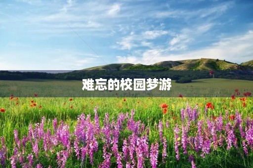 难忘的校园梦游 难忘的校园梦游