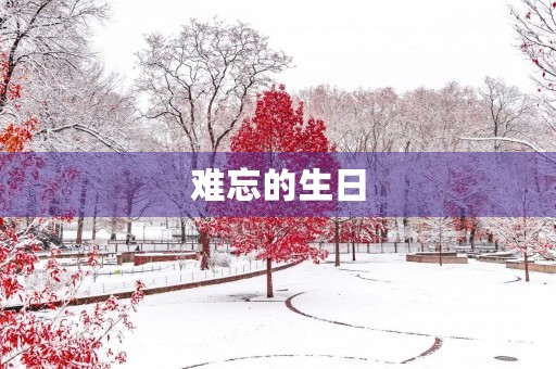 难忘的生日 难忘的生日