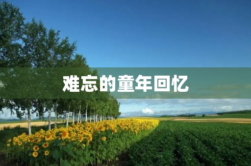 难忘的童年回忆