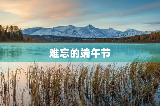 难忘的端午节