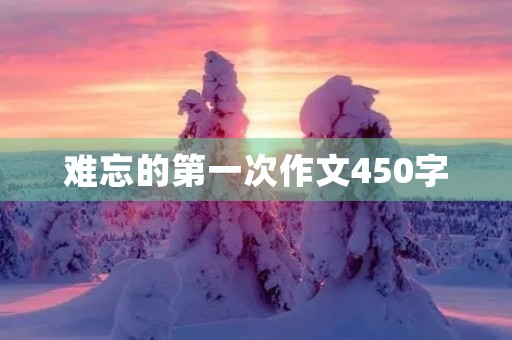 难忘的第一次作文450字 难忘的第一次作文450字