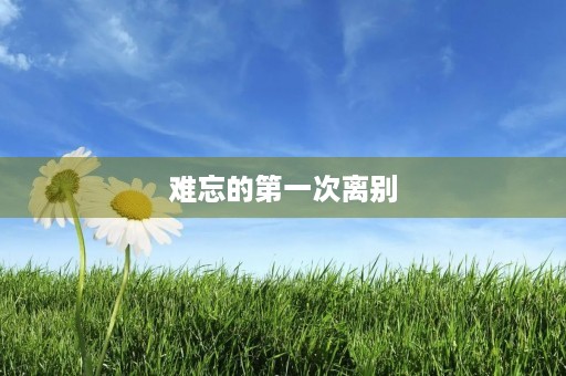 难忘的第一次离别