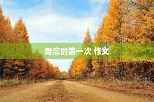 难忘的第一次 作文