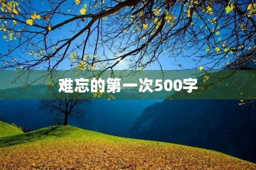 难忘的第一次500字