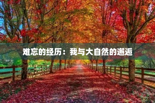 难忘的经历：我与大自然的邂逅