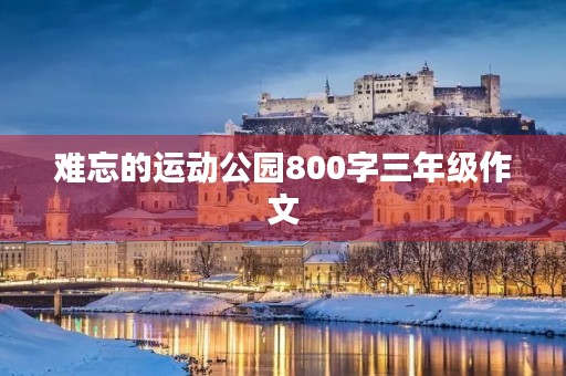 难忘的运动公园800字三年级作文