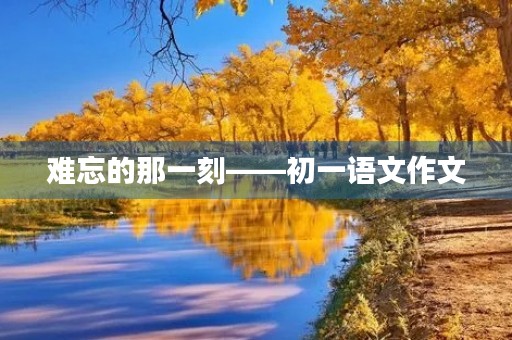 难忘的那一刻——初一语文作文