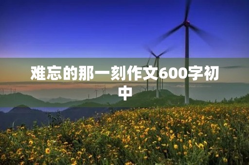 难忘的那一刻作文600字初中