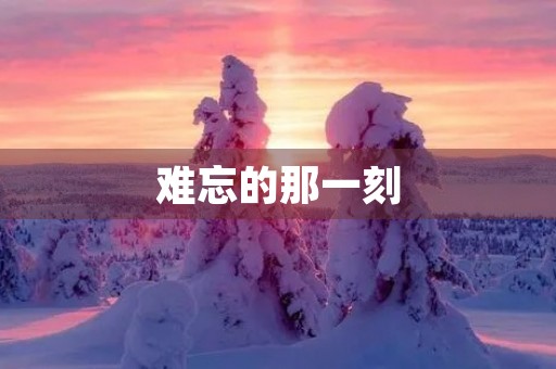 难忘的那一刻 难忘的那一刻