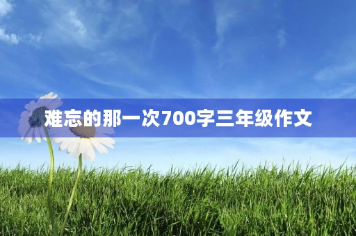 难忘的那一次700字三年级作文