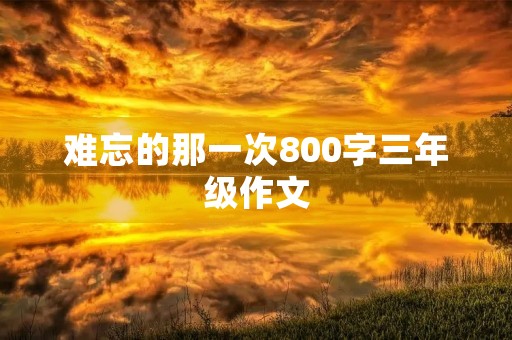 难忘的那一次800字三年级作文