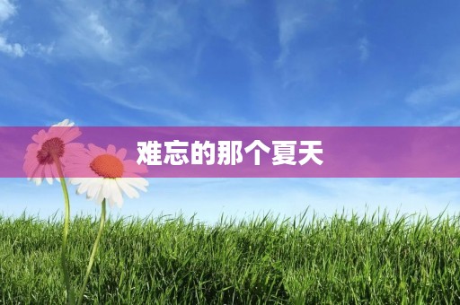 难忘的那个夏天 难忘的那个夏天