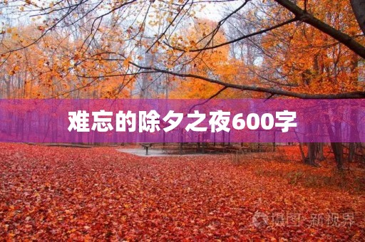 难忘的除夕之夜600字