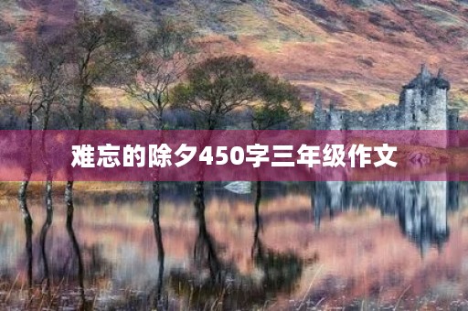 难忘的除夕450字三年级作文 难忘的除夕450字三年级作文