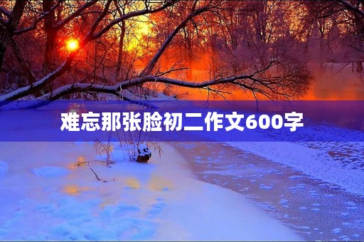 难忘那张脸初二作文600字 难忘那张脸初二作文600字