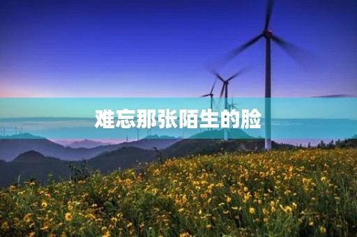 难忘那张陌生的脸