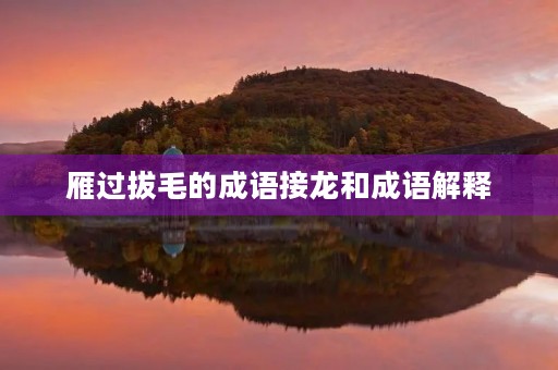 雁过拔毛的成语接龙和成语解释 雁过拔毛的成语接龙和成语解释