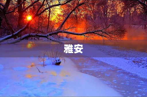 雅安，我们为你加油