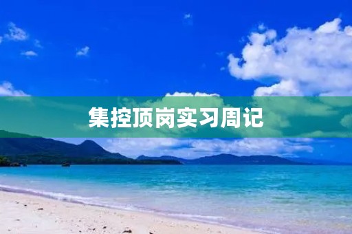 集控顶岗实习周记 集控顶岗实习周记