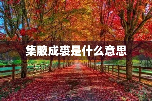 集腋成裘是什么意思 集腋成裘是什么意思